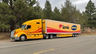 Love's/Gemini LTS Driver