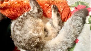 99%が5分で眠くなる