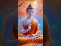 Namo buddhay 🤲