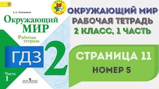 Окружающий мир. Рабочая тетрадь 2 класс 1 часть. ГДЗ стр. 11 №5