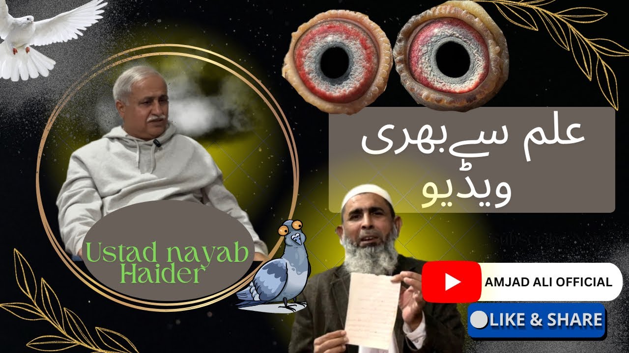 Kabootar ki nasal ko berqarar kesy rakhin ?  USTAD NAYAB HAIDER |