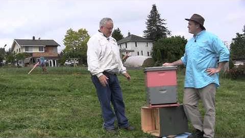 Beyond The Basics - Preview 8 - Hive Autopsy