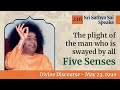 The plight of the man who is swayed by all five senses  sri sathya sai speaks  may 23 1990