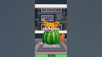 The New Brainrots of the Steal a Brainrot Update...