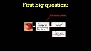 375: Semantic Memory Pt1 (2/24)