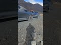 الله ستر من عمو الدب اكسبلور دببة حيوانات