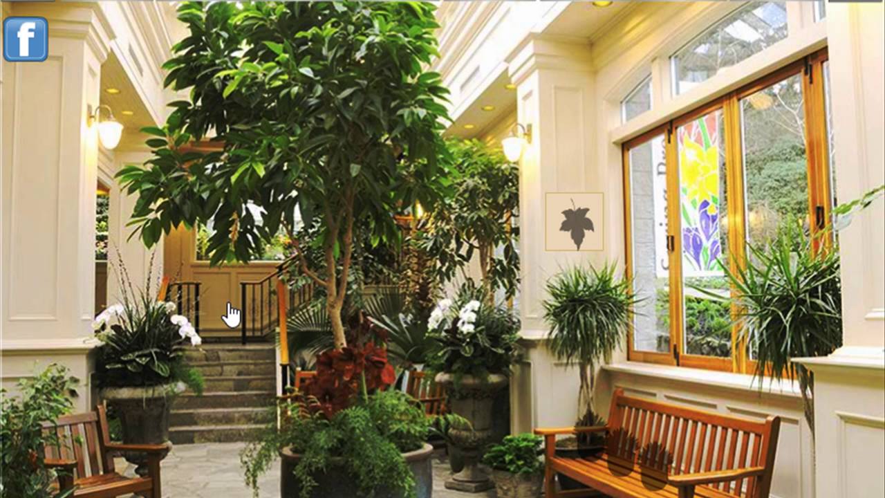 plant furnishings house escape video walkthrough