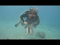 Community Ocean Cleanup  Hosted by ODA! #hawaii #scubadiving #oceancleanup