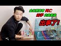 可愛的金絲熊慘遭毒手,身上留下巨大傷口,兇手究竟是誰