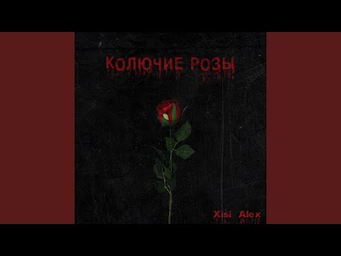 Колючие розы
