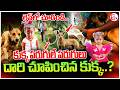 Kakinada Jahnavi Missing Case | పాప కోసం చివరిగా! | Sensational Facts Revealed | SumanTV Deepika