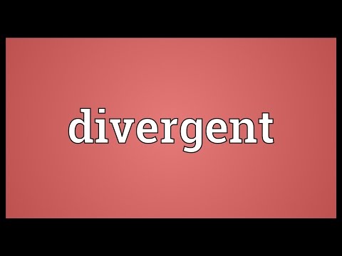 Divergent Meaning