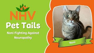 Pet Tails: Noni Fighting Against Neuropathy