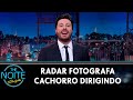 Em Santa Catarina, um radar de velocidade flagrou um cachorro dirigindo | The Noite (26/04/24)