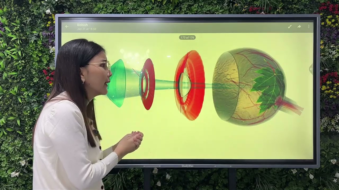 Koʻrish analizatori 