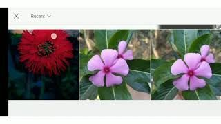 How to create Drop shadow effect || PicsArt || Edit Tutorial || screenshot 5