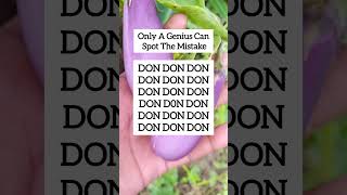 Genius Mistakeep.341 Skill Challenge