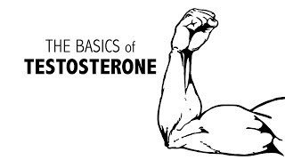 The Basics of Testosterone