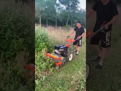 Weeding Artifact Gasoline