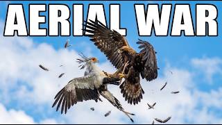 Golden Eagle vs Secretary Bird: Aerial War! | Sky King vs Ground Master