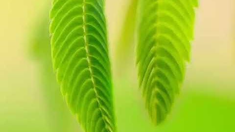 Short-hand Operators in php / Tamil