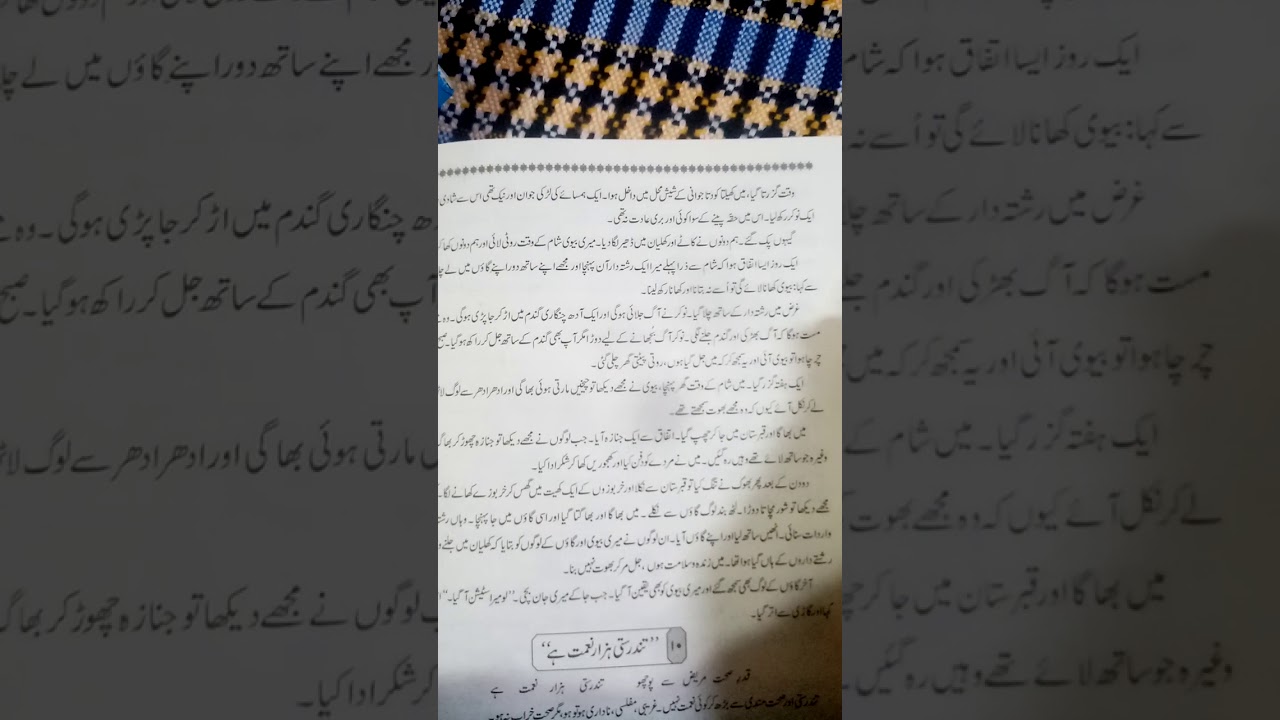 ek dilchasp safar essay in urdu language