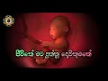 Jeewithe mata dunna devithumane( ජීවිතේ මට දුන්න දෙවිතුමනේ) Sinhala geethika Mp3 Song