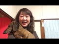 猫を拾った時の息子の電話の様子