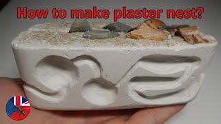 How to make compact formicarium | ALL IN ONE | Plaster Nest Tutorial