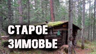 /Неожиданная встреча с медведем в старом зимовье /