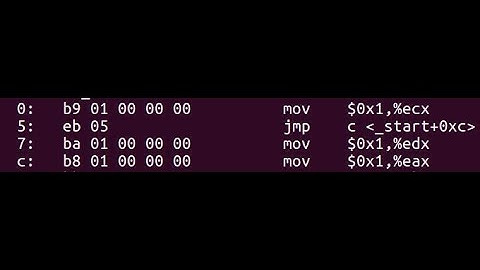 Encoding of jump instruction address