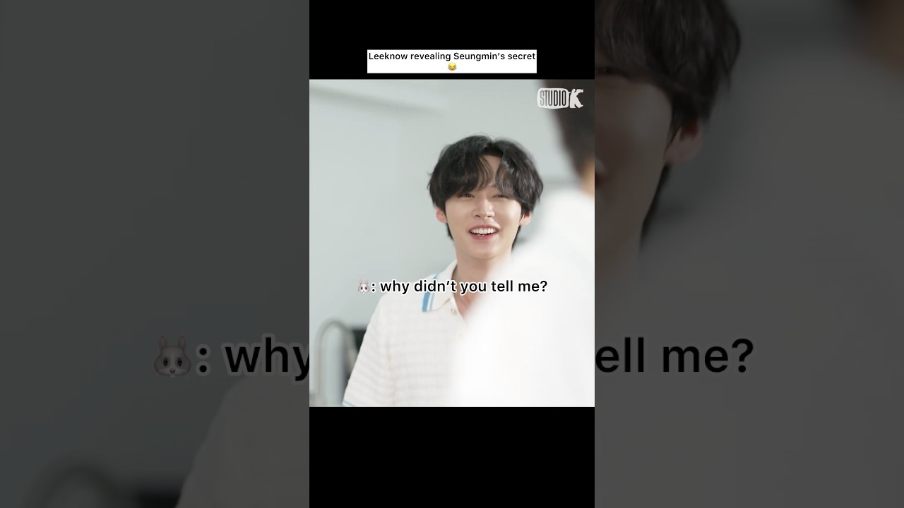 Seungmin Encyclopedia: Leeknow Edition [ #straykids | #leeknow #seungmin #karma ]