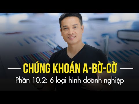 P10.2: 6 LOẠI HÌNH DOANH NGHIỆP ĐẦU TƯ | HƯỚNG DẪN ĐẦU TƯ CHỨNG KHOÁN CƠ BẢN, A-BỜ-CỜ (TỪ A-Z)
