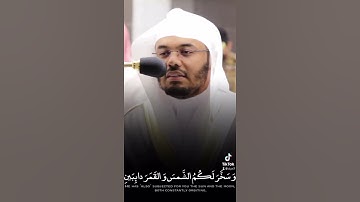 وآتاكم من كل ما سألتموه | تلاوة خاشعة للشيخ ياسر الدوسري 🤍 ~ حالات واتس دينية