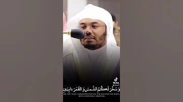 وآتاكم من كل ما سألتموه تلاوة خاشعة للشيخ ياسر الدوسري حالات واتس دينية 
