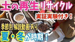 【土の再生/リサイクル】このポイントを抑えれば誰でも出来る / 季節別解説動画 / 再生土で実験したら（驚）【ガーデニング】