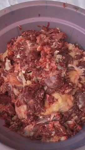 Pemotongan Hewan Qurban 2023 - SLB Tegar Harapan