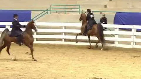 2014 JD Massey Classic Tuffy's Commander Tina Smith
