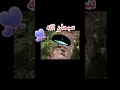 هشام عباس اسماء الله الحسنى