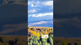 Öy Öyhayatı Şık Ürkü Ğa Ilık Şfet