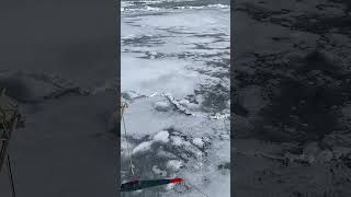 Sea of Ice!! #travel