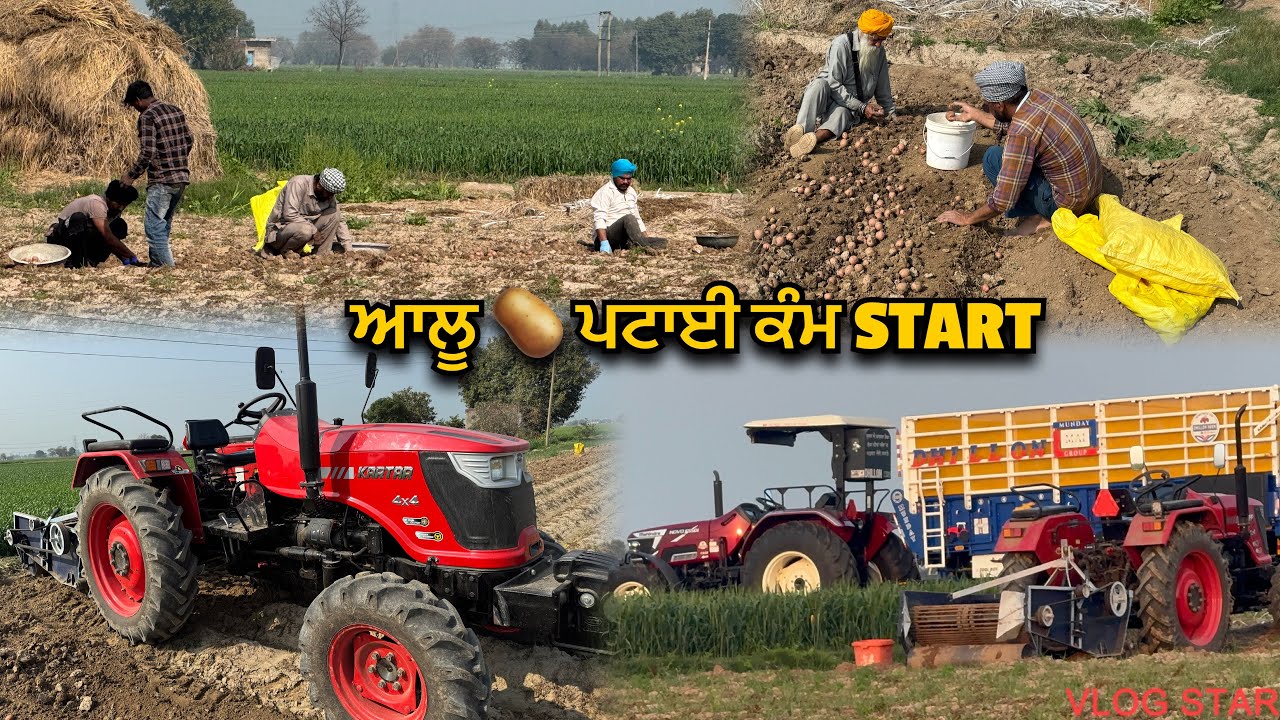 ਆਲੂ 🥔 ਪਟਾਈ START // ਬੱਸ ਹੋ ਗਈ ਪਹਿਲੇ ਦਿਨ 🙄🙄 