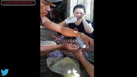 CUỘC SỐNG MIỀN TÂY -Cách làm vợt đơn giản -Vợt bắt cá rô - Cuộc sống Việt