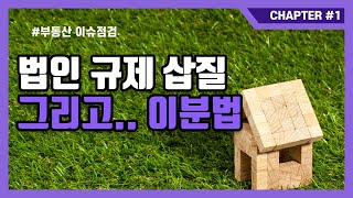 정부의 법인규제 삽질, 그리고 이분법