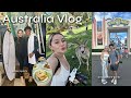 Exploring the gold coast in australia   petting kangaroos ocean amusement parks