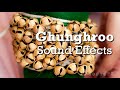 Indian ghunghroo sound  bell sound effects  knighthood sound  jo sound fx