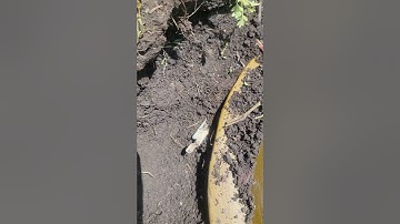 TM62 Anti Tank Landmines are notorious for boobytraps and Anti handling devices in  #ukraine