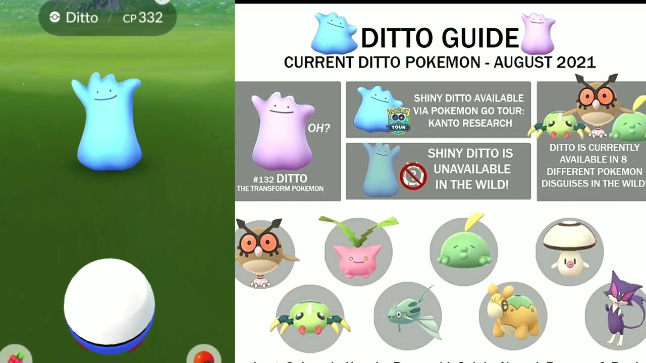 Pokemon go How to get Shiny Ditto Garunted in August 2021, How to Caught  Ditto in Pokemon go