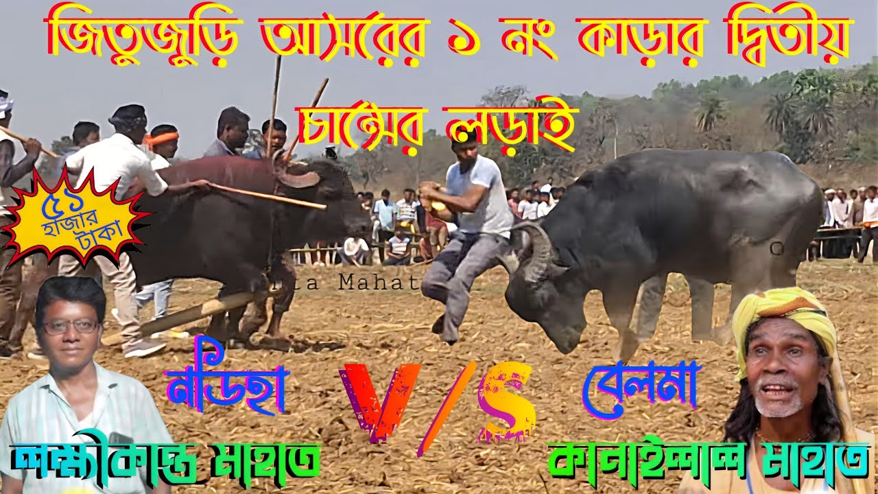 জিতুজুড়ি আসরের ১ নং কাড়ার ২য় চান্সের  লড়াই লক্ষীকান্তমাহাত V/Sকানাইলাল মাহাত New Kara Lodai 2026