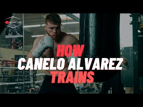 Canelo